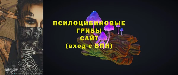 apvp Алексеевка